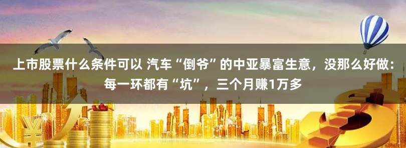 上市股票什么条件可以 汽车“倒爷”的中亚暴富生意，没那么好做：每一环都有“坑”，三个月赚1万多