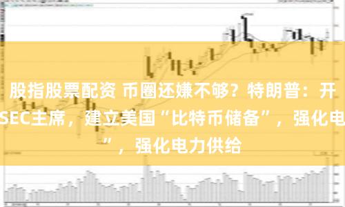 股指股票配资 币圈还嫌不够？特朗普：开掉现任SEC主席，建立美国“比特币储备”，强化电力供给