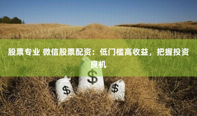 股票专业 微信股票配资：低门槛高收益，把握投资良机