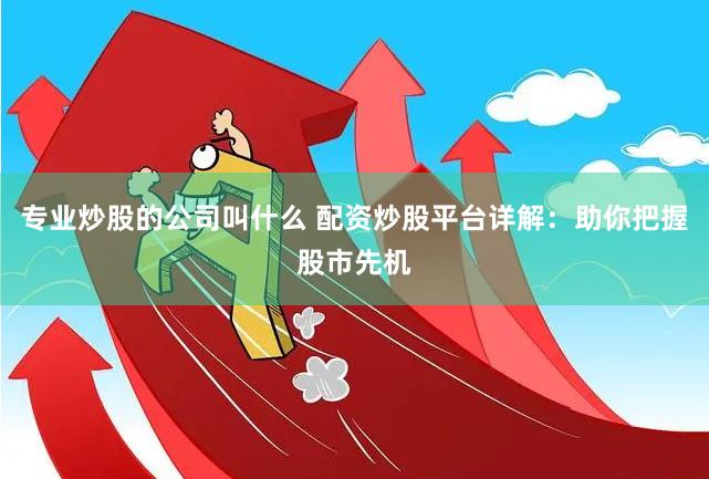 专业炒股的公司叫什么 配资炒股平台详解：助你把握股市先机