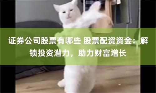 证券公司股票有哪些 股票配资资金：解锁投资潜力，助力财富增长