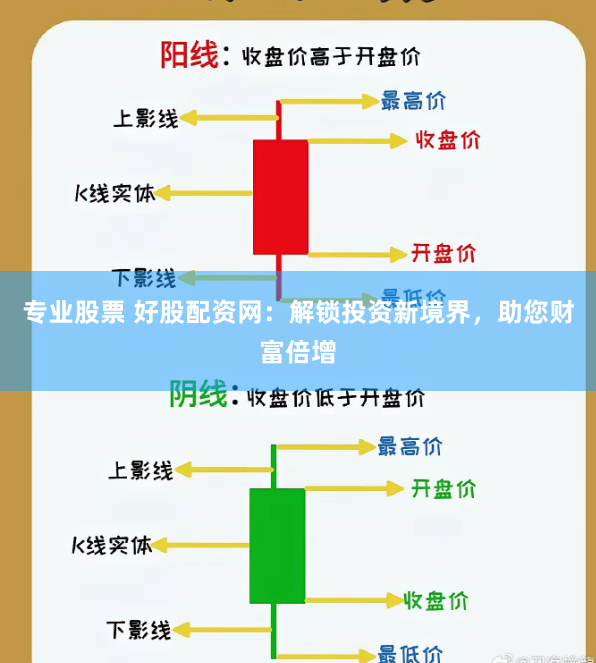 专业股票 好股配资网：解锁投资新境界，助您财富倍增
